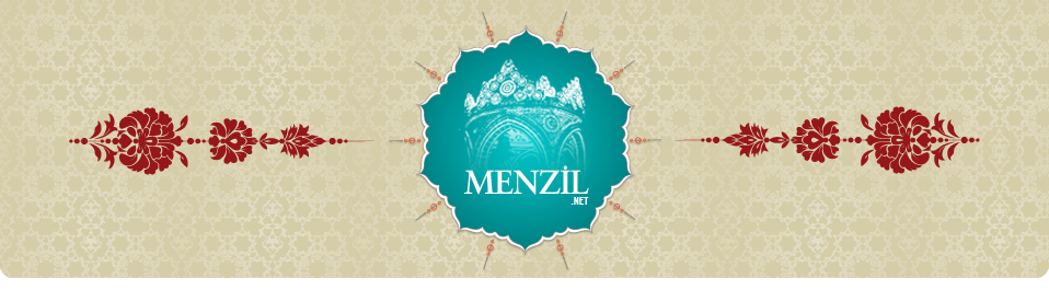 menzil.net