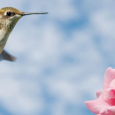 Allah’ım! Beni Rahmetinden Ayırma!