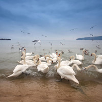 İyilik Yap İyilik Bul